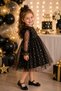 Baby Girl Dress Long Sleeve Tulle Tutu Starry Birthday Special Day Party Wedding Girl Kids Dress - 2