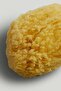 Natural Sponge - 2