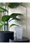 Imported Glass Vase