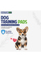 Training Pads Lavender 20's (60x90cm) – Extra Large Rapid-Dry Leak-Proof,Scented, 6 Layers Quilted, Superior Absorption, Odor Control Pee Pads, Pet Training for Dogs, Cats, Rabbits 65g - 5