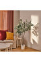 نبات صناعي في آنية, داخلي/خارجي شجر اليوكاليبتوس, 19 سم - 2