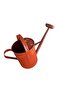 Galvanized Metal Watering Can Tin Color 10Lt - 4