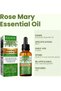 Rosemary Essential Hair Oil - Nourishing Vegan Formula for Lustrous Locks and Scalp Wellness - 2