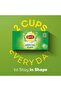 Green Tea Pure, 100 Teabags (Value Pack) - 2