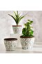 Alban Ceramic Planter 28.5x28.5x24cm - Green - 4