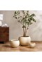 Andro Polyresin Planter Dia37x28cm - Cream - 3