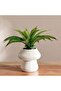 Aloe Artificial In Ceramic Pot 30.5x30.5x22.5cm - Green - 3