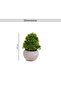 Artificial Multi-layer Grass Potted H17cm - Green - 5