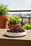 Acar Stripe Detailed Porcelain Round Small Plate 10X2 cm |   Snack and Presentation Tray 10 X 10 - 3