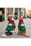 Striped Green Sweater with Santa Claus Motif for Cat and Dog - 5