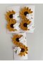 Girl's Knitted Snap Buckle - 3