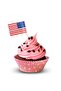 100pcs US Flag Picks American Flag Food Toothpicks Party Accessory - 6