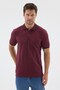 Burgundy Polo Collar Pique Short Sleeve Slim Fit 100% Cotton T-Shirt 1011260171 - 3