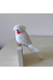 Amigurumi Budgie Sultan Parrot Albino White