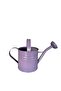Galvanized Metal Watering Can 3.5 Lt Lila - 2