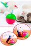 Cat Play Ball with Mouse Hacı Yatmaz