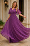 Women's Double Breasted Collar Short Sleeve Tulle Sleeve Lycra Stretchy Glitter Lined Long Plum Evening Dress