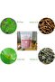Natural Flat Tummy Tea with Moringa #est Belly Burning $at