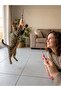 Cat Play Rod, 80 cm Colorful Feathered Cat Rod, Rattle, Cat Toy, Colorful Pompom Toy Bouncing Ball, Toy