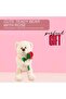 Teddy Bear Holding Artificial Rose 30 cm Ideal Gift for Valentine, Anniversary, Birthday. - 4