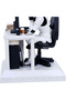 Cod produs figurină: B7529B26 - 5