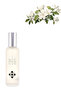 3 قطع عطر 100 مل - 2
