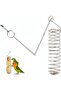 Hanging bird fruit and vegetable feeder