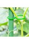 Plant Wall Clips - Support for Vegetables and Flowers - Pack of 200 - Green - Plastic - 3