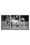 Galloping Forward Equine Prints, Set/3