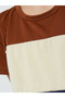 Boys Color Block T-Shirt and Shorts Set - 4