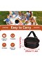 Dish and utensil storage bag - suitable for picnics and barbecues - with protective foam lining - 30 x 29 x 12 cm - 5
