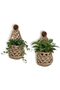 Macrame Plant Hanger Boho Macrame Space Saving Storage | Plant Pot Hanger Boho Wall Decor for Home B - 7