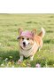 Dog Baseball Cap - Adjustable With Ear Holes Summer Sun Hat Breathable Corduroy Material Pink Size S - 3