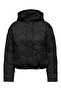 Hooded Coat 15373691