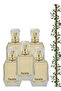 5 قطع عطر باراديس 100 مل