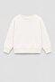 Unisex Kids 3 Thread Fabric Cotton Back Printed Sweatshirt - 3
