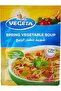 Vegata Spring Vegetable Soup 60G