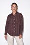 Brown Comfortable Fit Lyocel Shirt Tdrss26Go00086