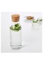 1 Liter Glass Bottle Water Oil Bottle Vinegar Jug Water Jug 000554 - 2