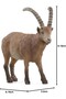 Schleich Handcrafted Special Alpine Mountain Goat Toy Figure Realistic Collectible Model 9.19 cm - 7