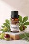 100% Natural Horse Chestnut Oil 10 ml - Anti-Fatigue Relaxing Massage and Leg Care