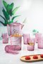 Acrylic Plum Jug 2.3 Lt and Set of 6 & Water Soft Drink Coffee Side Glass 400 ml (Not Glass) - 2