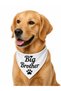 Big Brother & Big Sister Written Dog Scarf Bandana