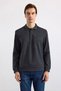 Antrasit Regular Düz Polo Yaka Sweatshirt
