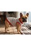 Cat Dog Clothes Summer Striped Series T-shirt