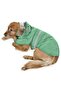 Medium and Large Breed Dog Raincoat - Frog - 6