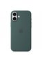 Husa MagSafe pentru iPhone 16 Plus, Verde