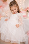 Baby Girl Dress Long Sleeve Tulle Tutu Starry Birthday Special Day Party Wedding Girl Kids Dress - 3