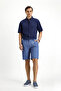 Regular Fit Standard Cut Lycra Striped Pleated Seersucker Bermuda Shorts