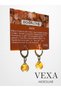 Natural Stone Earrings 316L Stainless Steel Earrings – Boxed – Gifted Product - 3